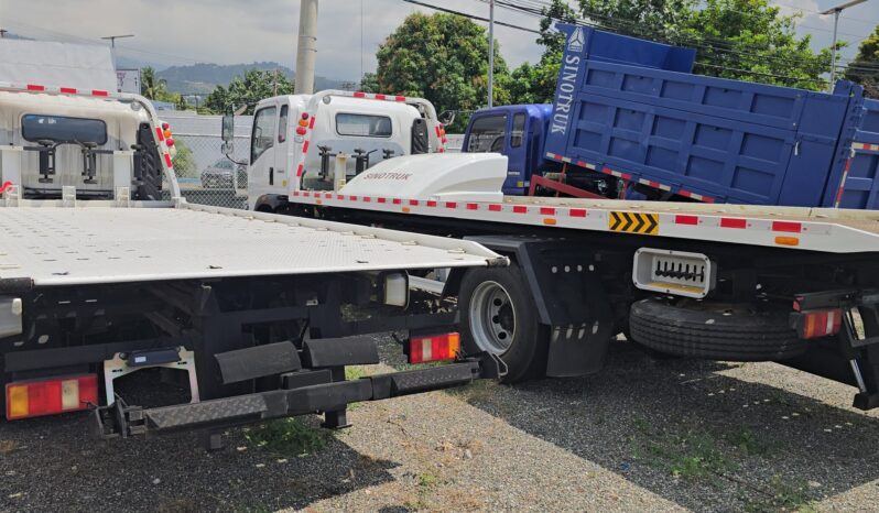 
								2025 SinoTruk (All Models and sizes) full									