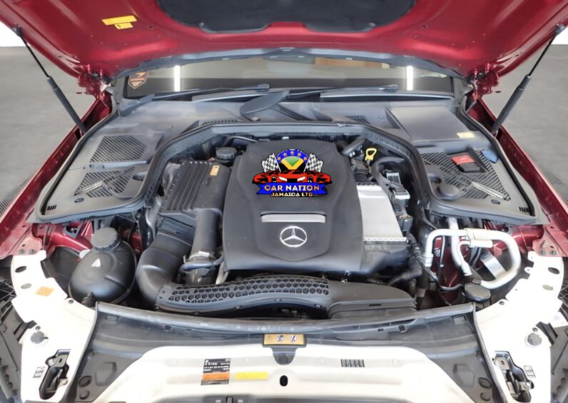 
								2016 Mercedes Benz C200 (100th Anniversary) full									
