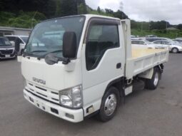 2015 Isuzu Elf Dump Truck (3 Ton)