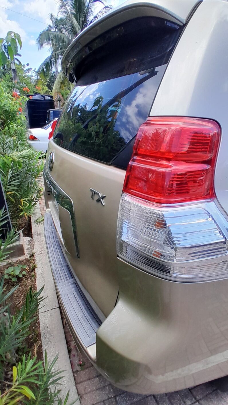 
								2010 Toyota Prado Landcruiser TX full									