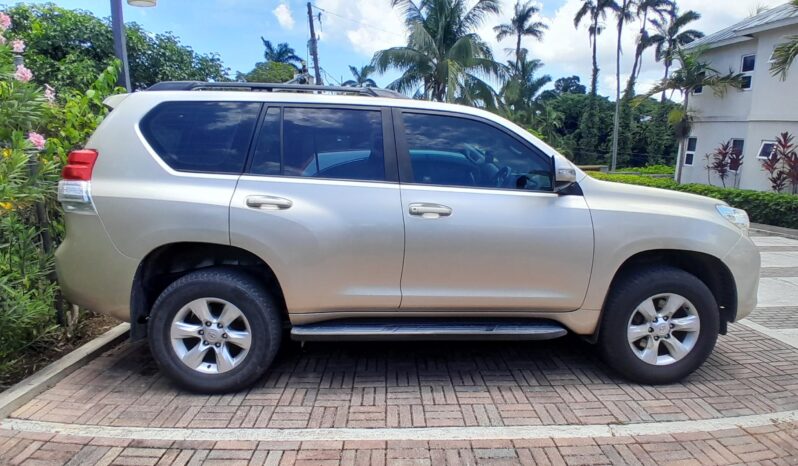 
								2010 Toyota Prado Landcruiser TX full									