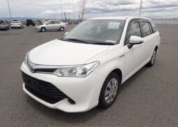 2019 Toyota Corolla Fielder